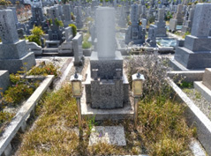 植栽の剪定・撤去サービス(有料)