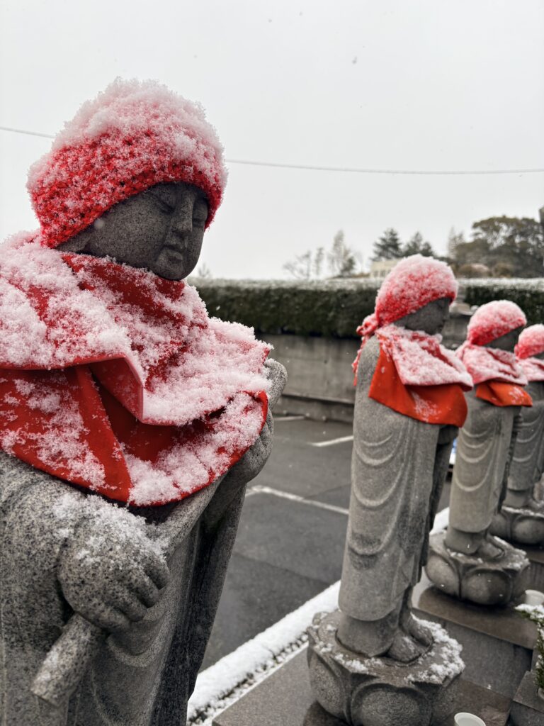 雪が降っています☃️