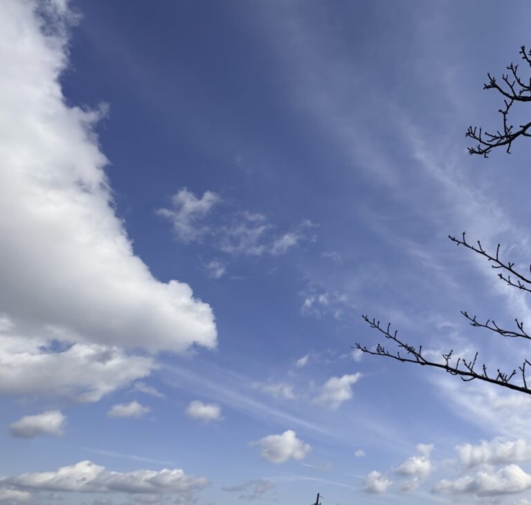 3月17日から春のお彼岸です