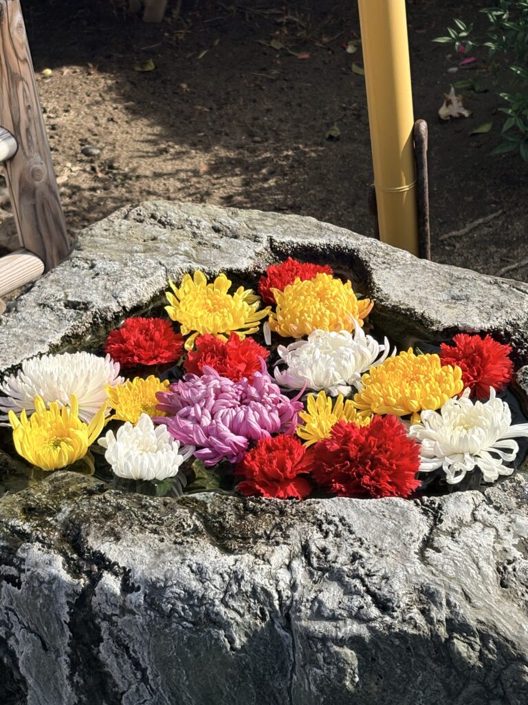 早朝よりお参りに来られています