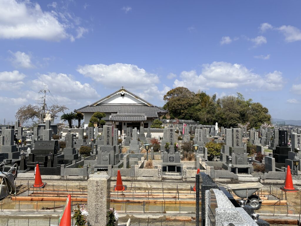 椿の二期工事が始まっています