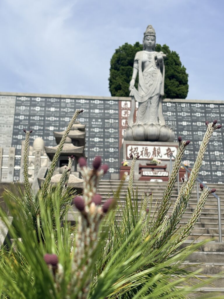 よいお天気です☀️