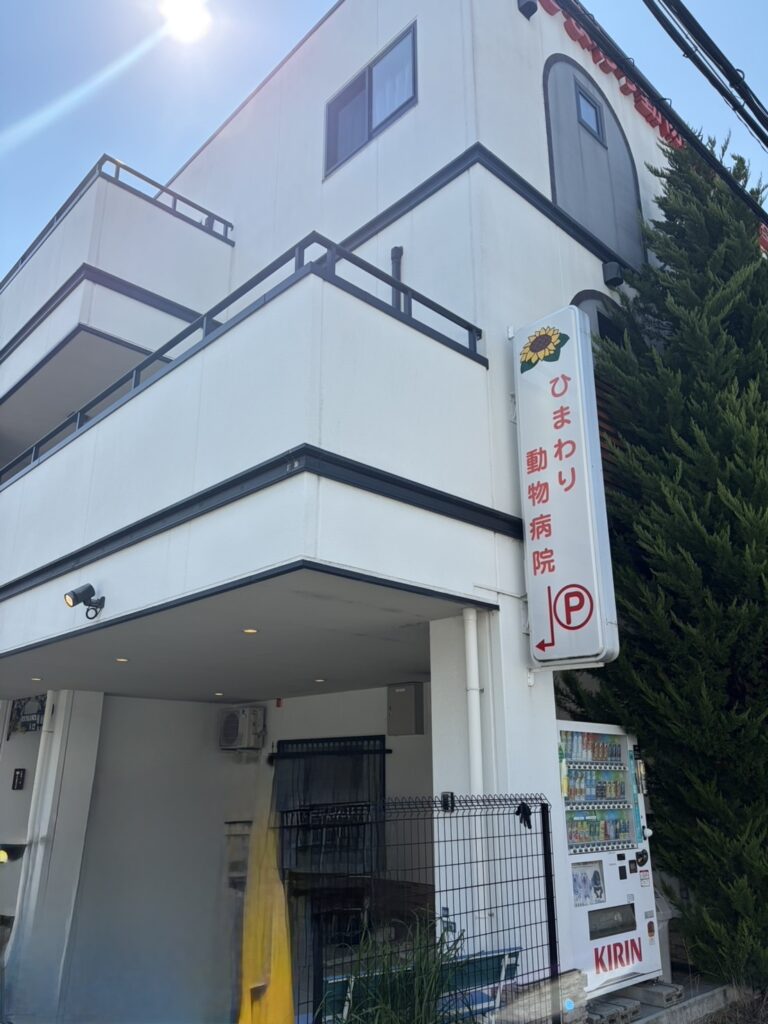 ペット墓のチラシを設置させていただける事になりました。